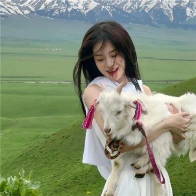 情圣粤语